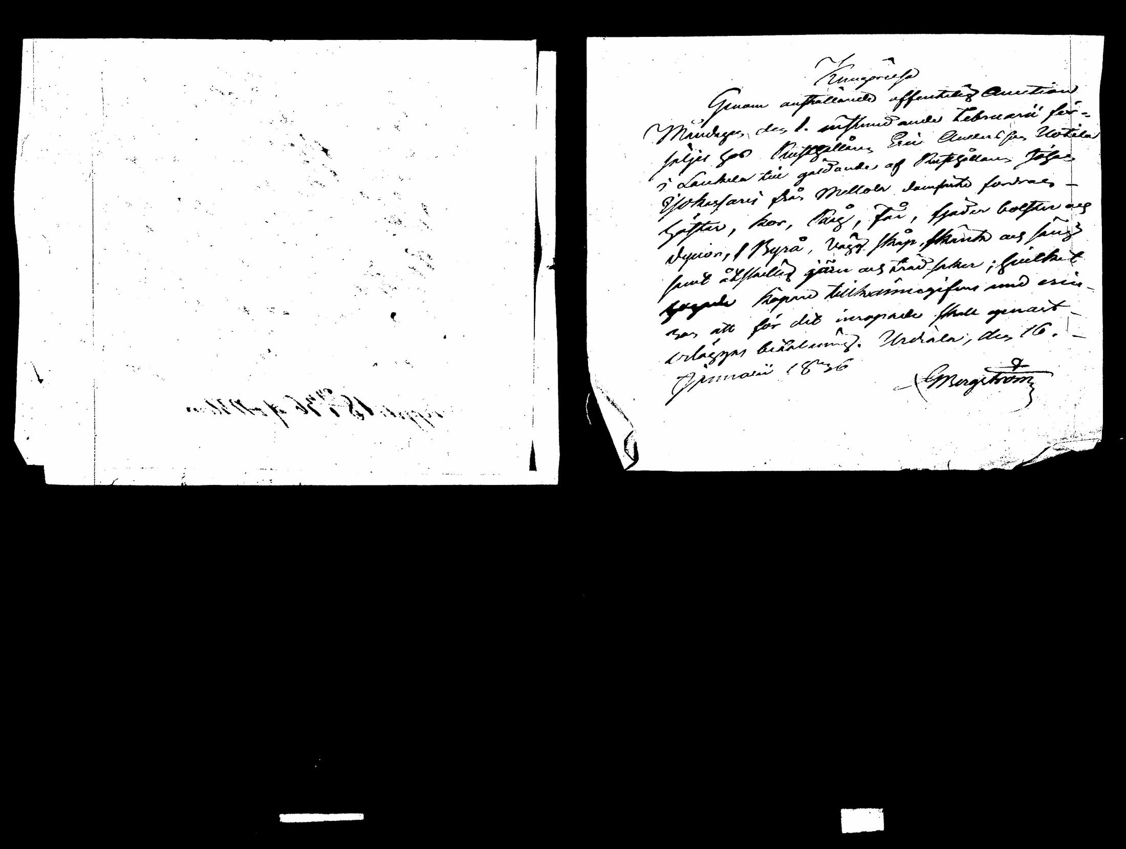 [ kuvat/381.jpg ]