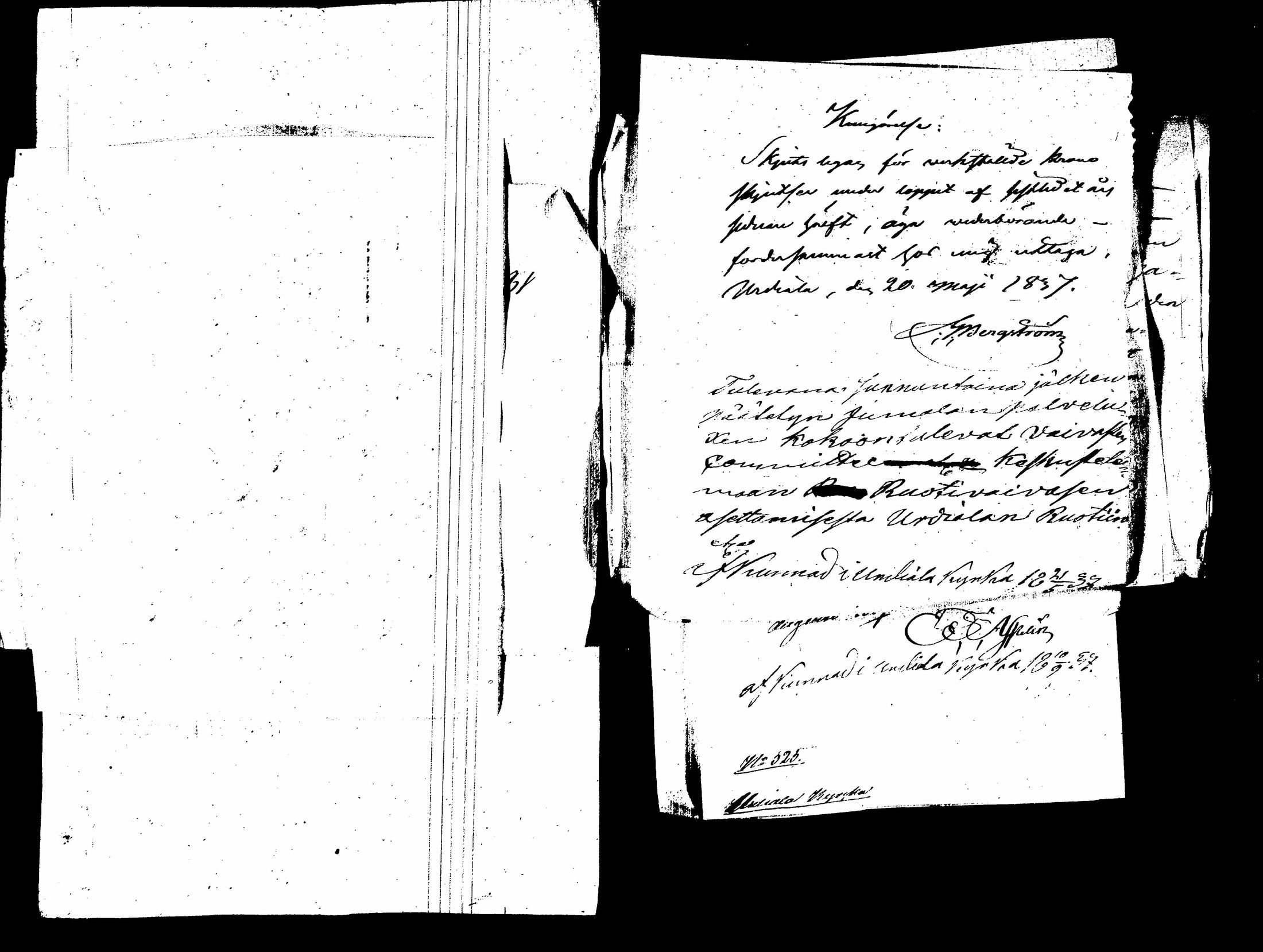 [ kuvat/463.jpg ]