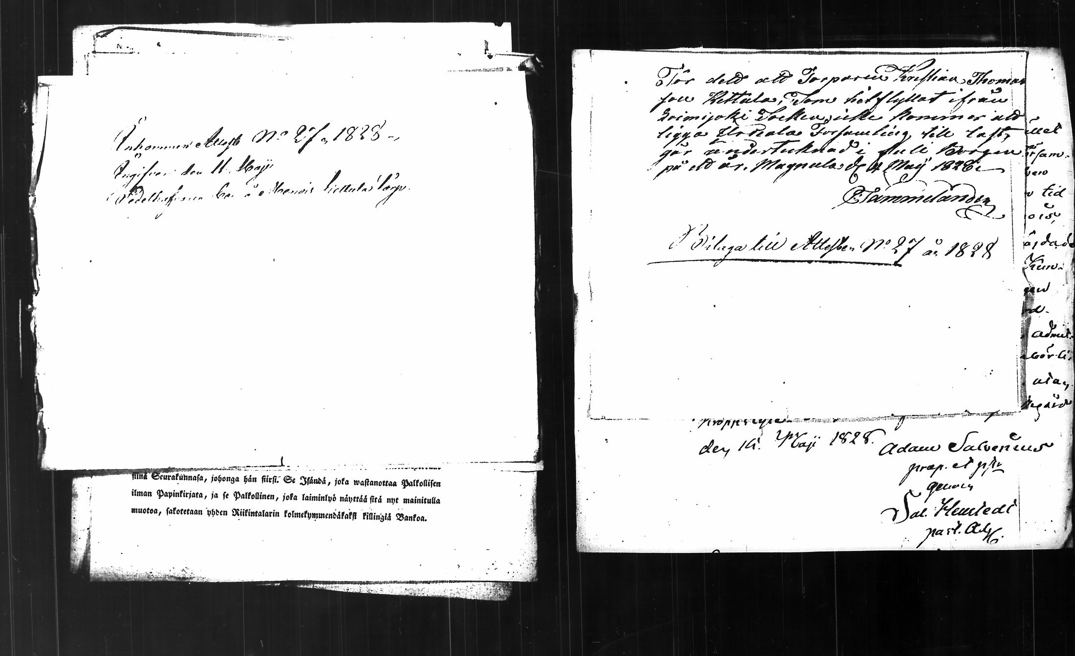 [ kuvat/492.jpg ]