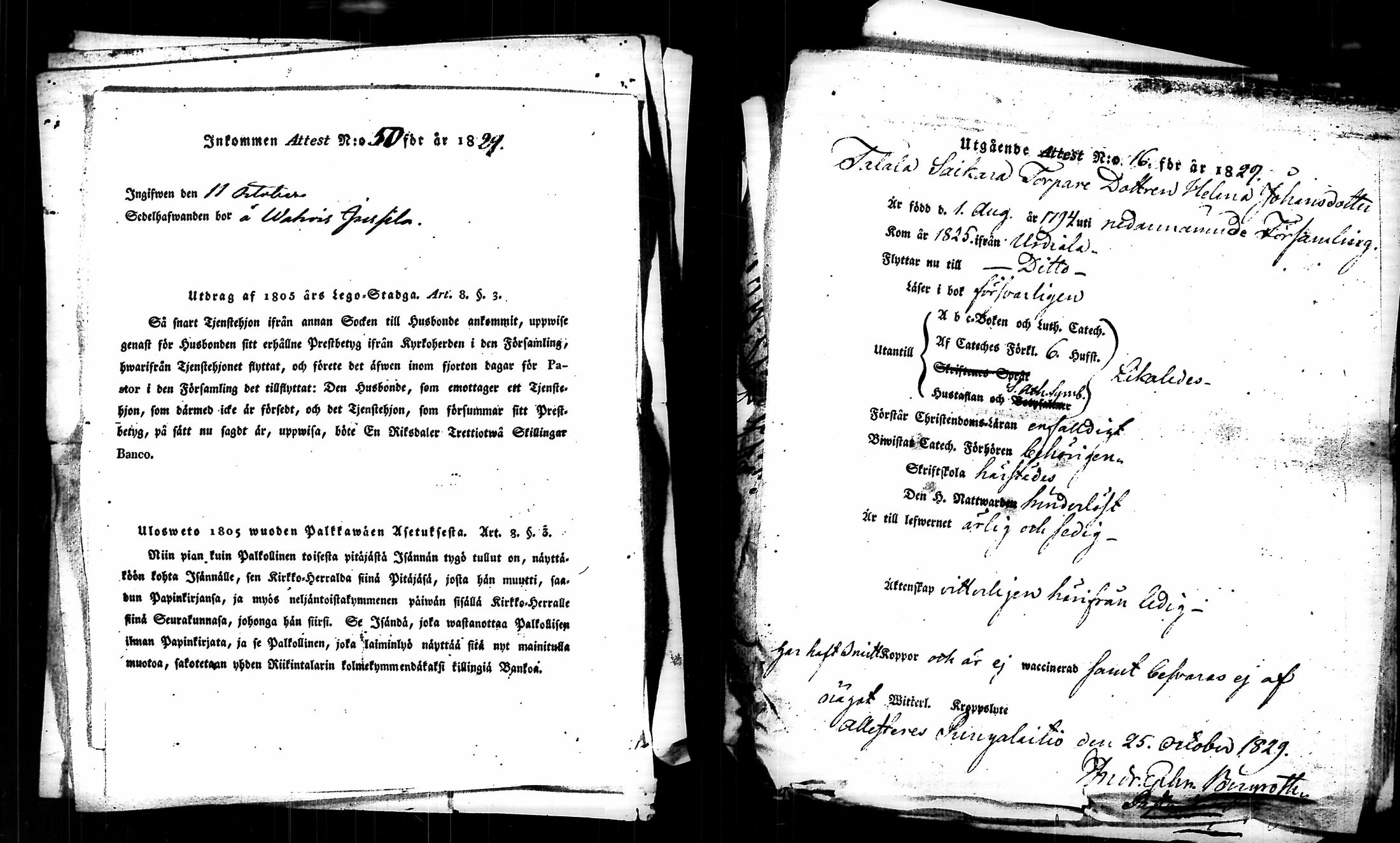 [ kuvat/590.jpg ]