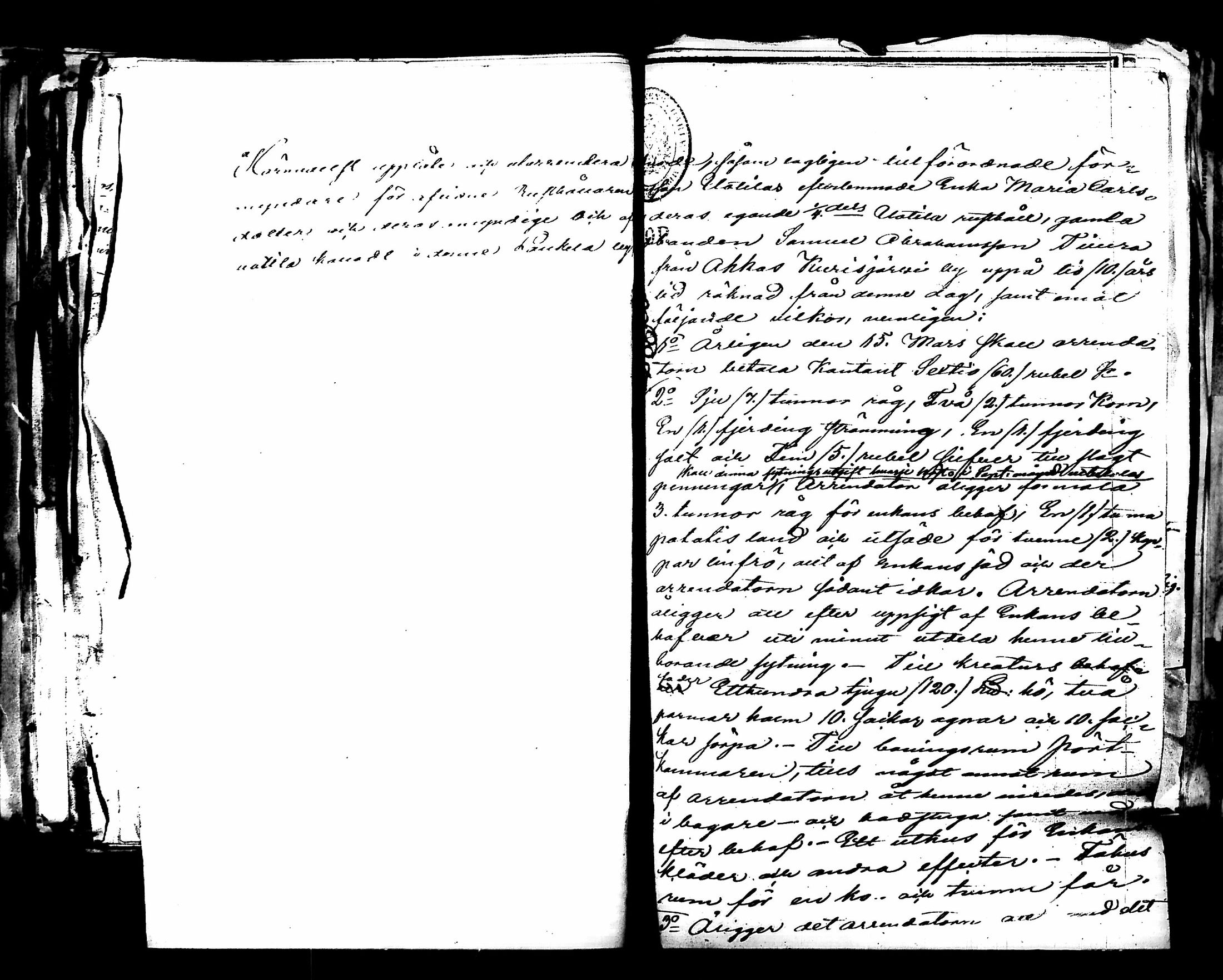 [ kuvat/295.jpg ]