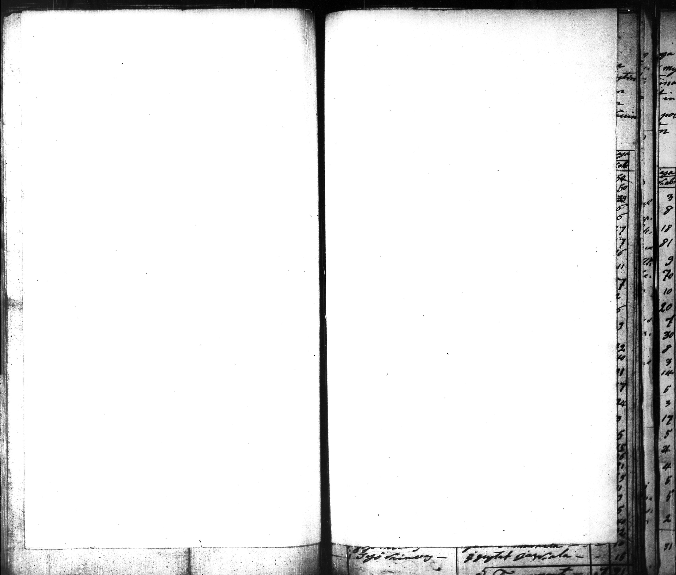 [ kuvat/441.jpg ]