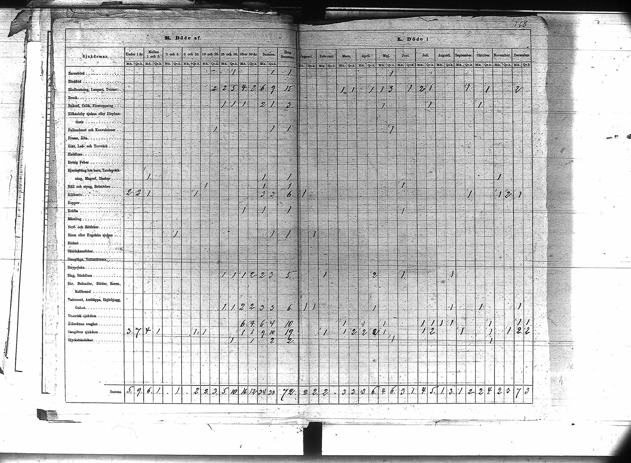[ kuvat/170.jpg ]