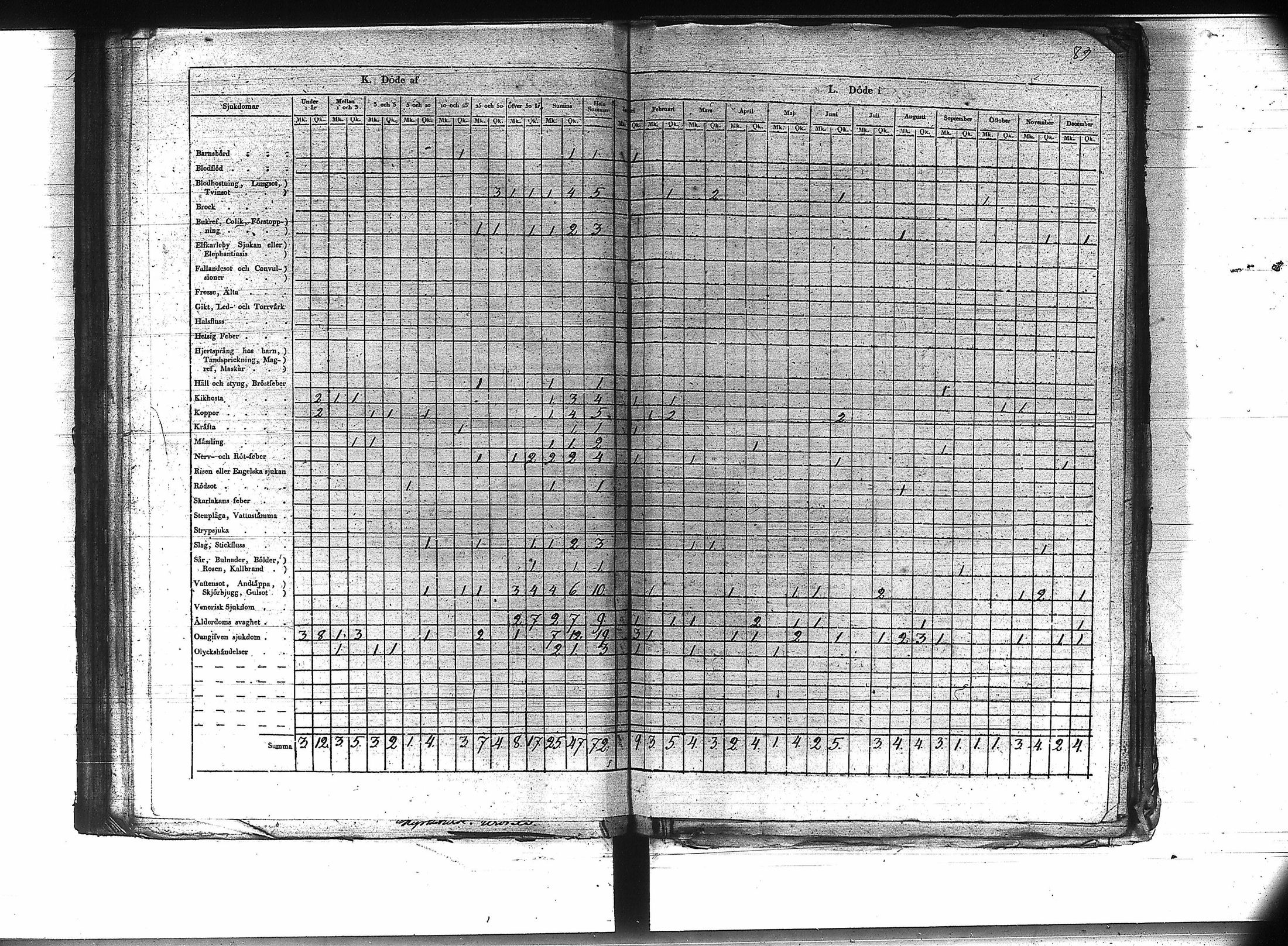 [ kuvat/91.jpg ]