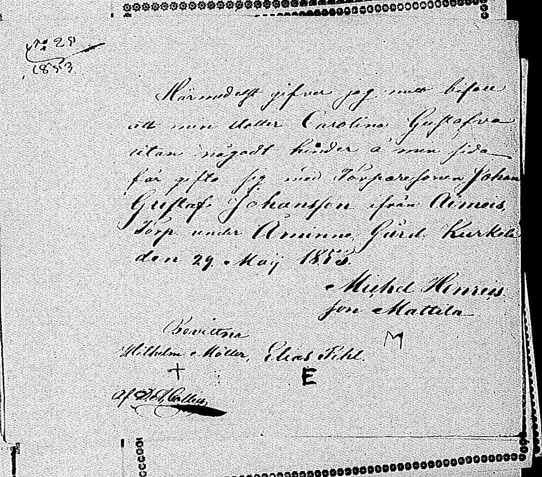 [ kuvat/910.jpg ]