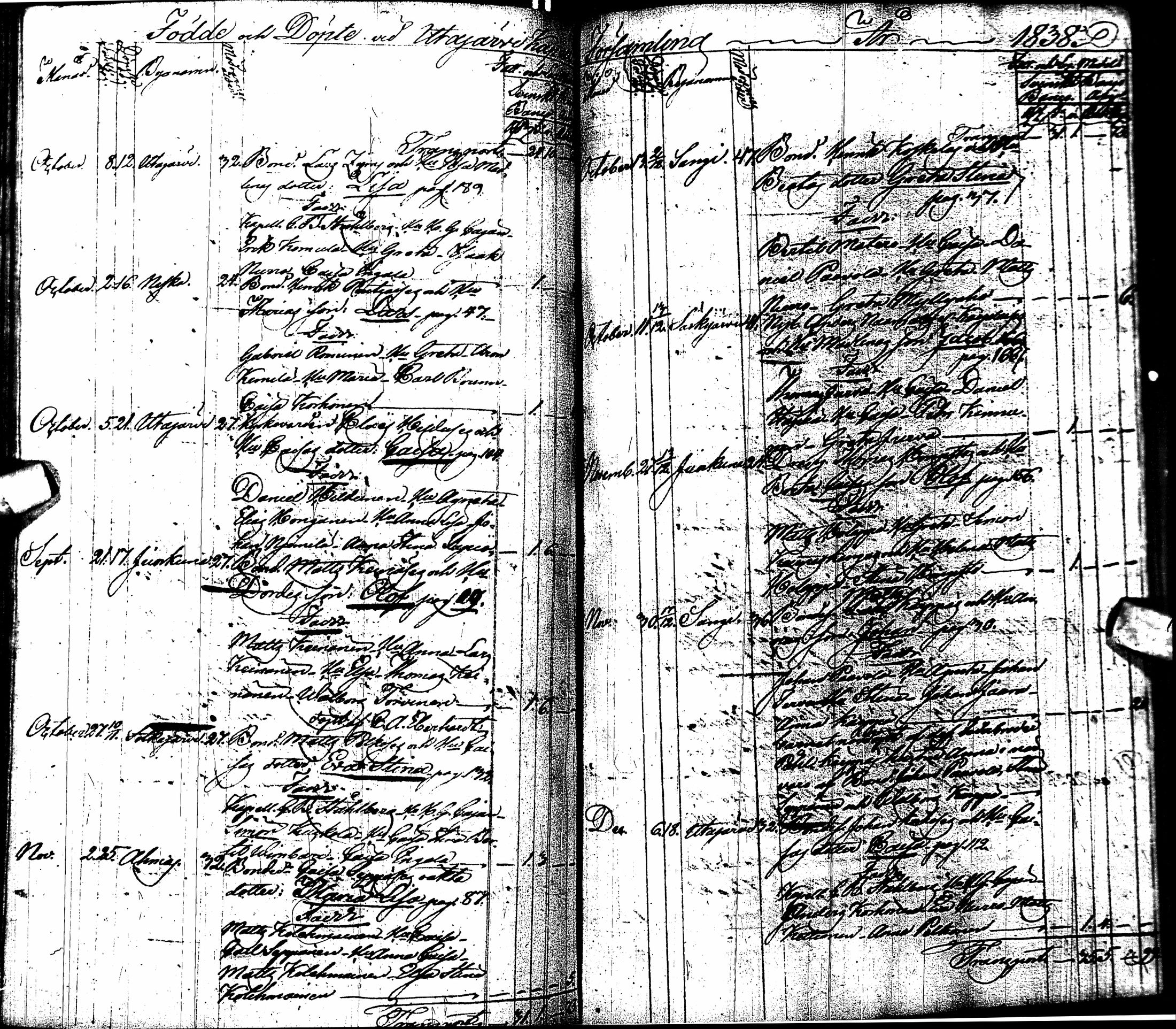 [ kuvat/215.jpg ]