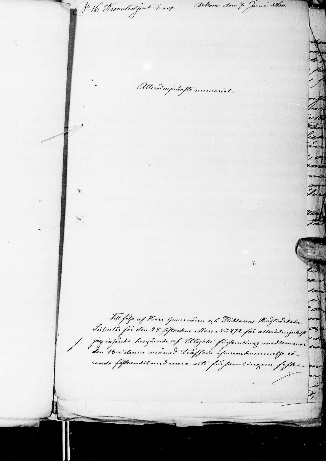 [ kuvat/158.jpg ]