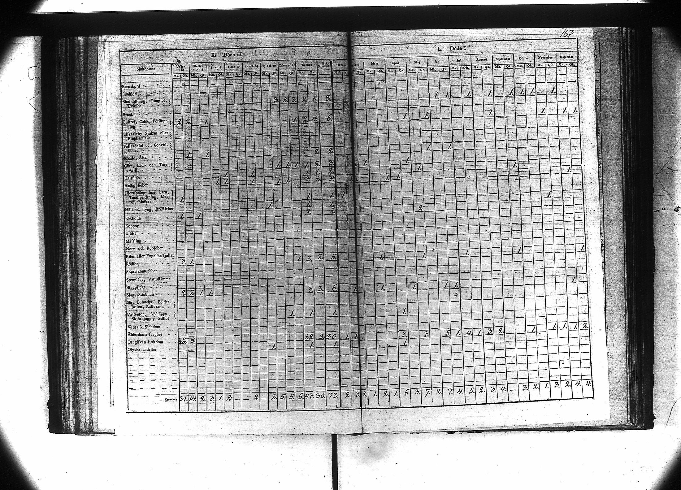 [ kuvat/169.jpg ]