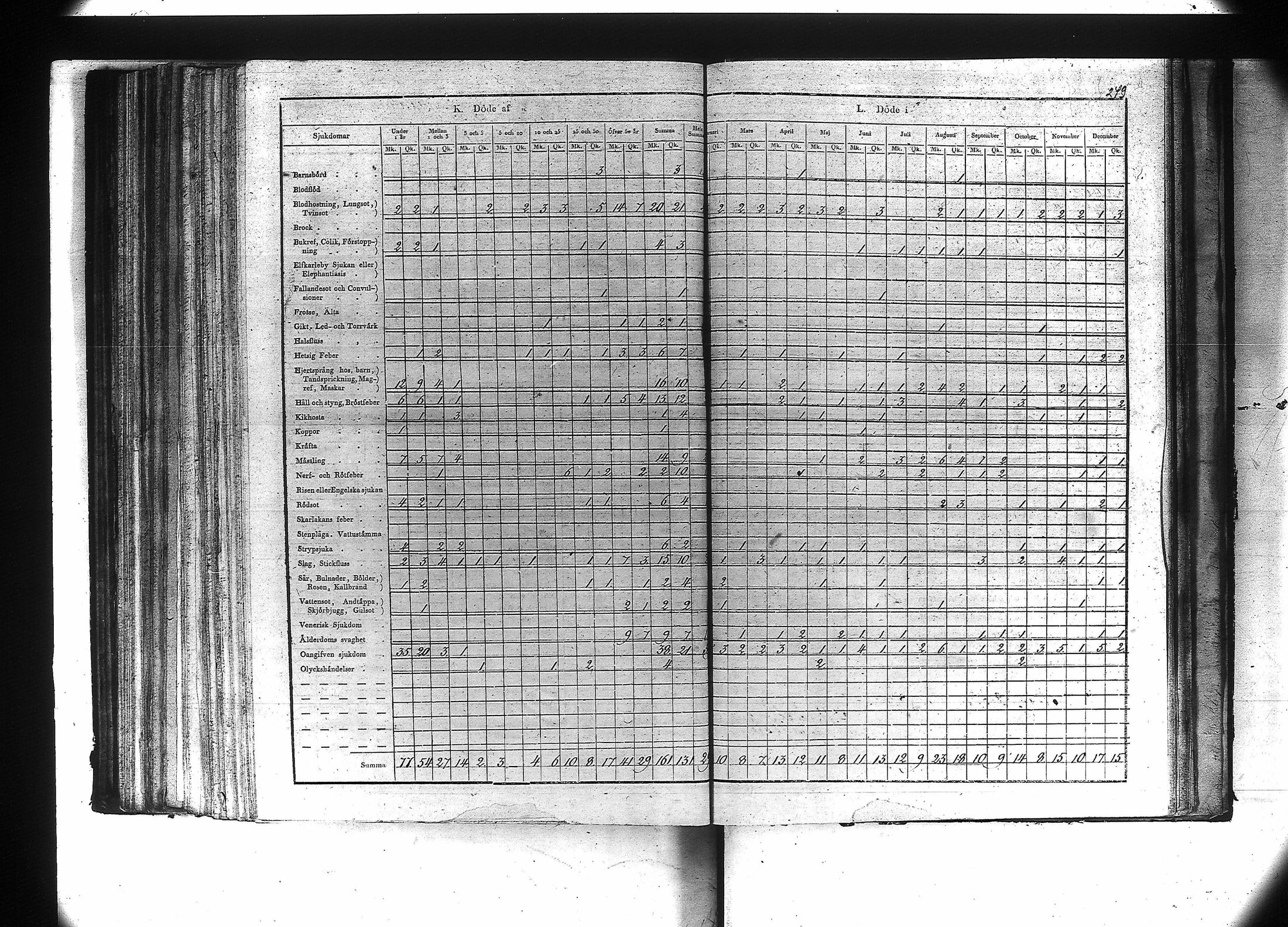 [ kuvat/251.jpg ]