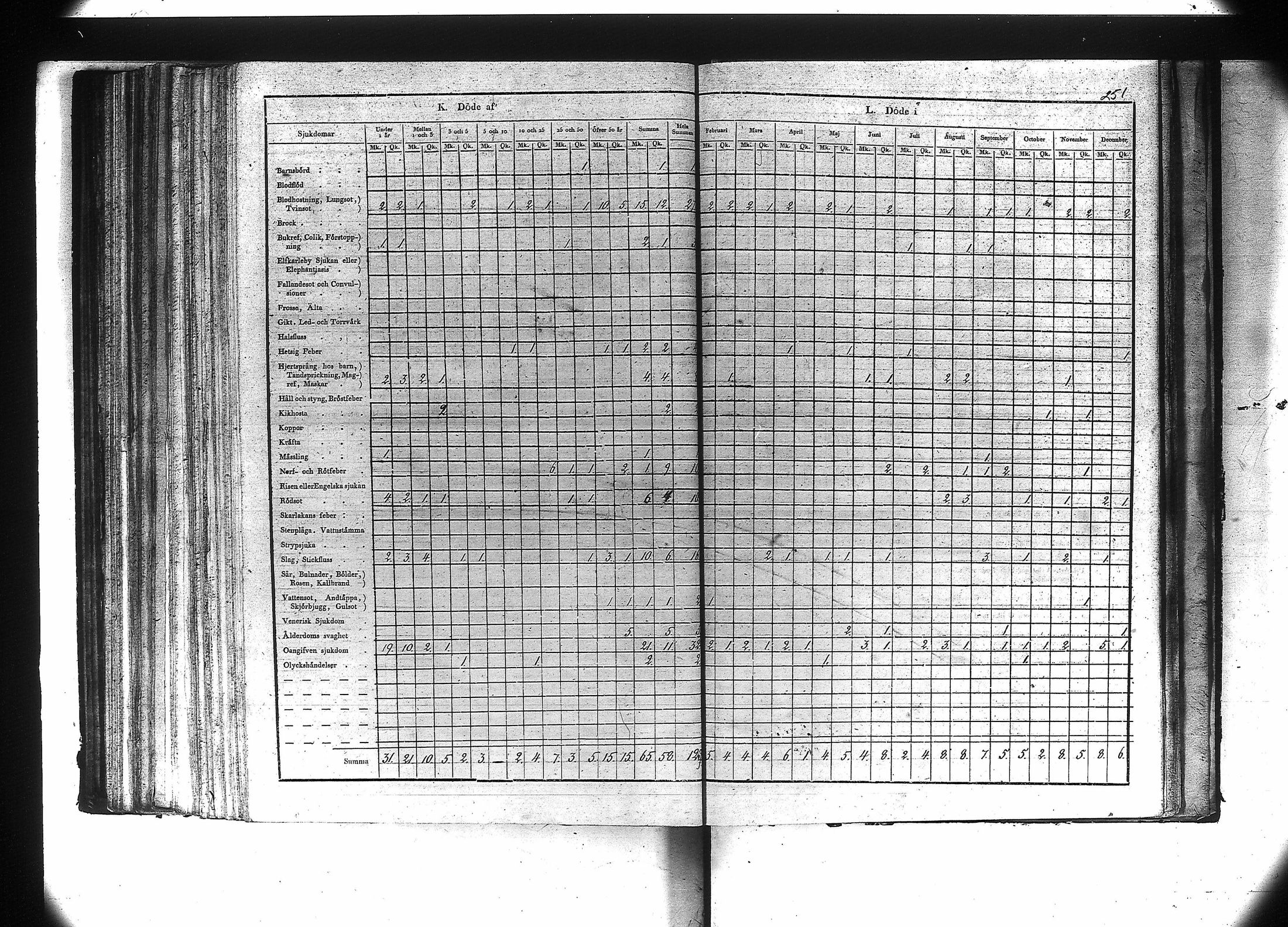 [ kuvat/253.jpg ]
