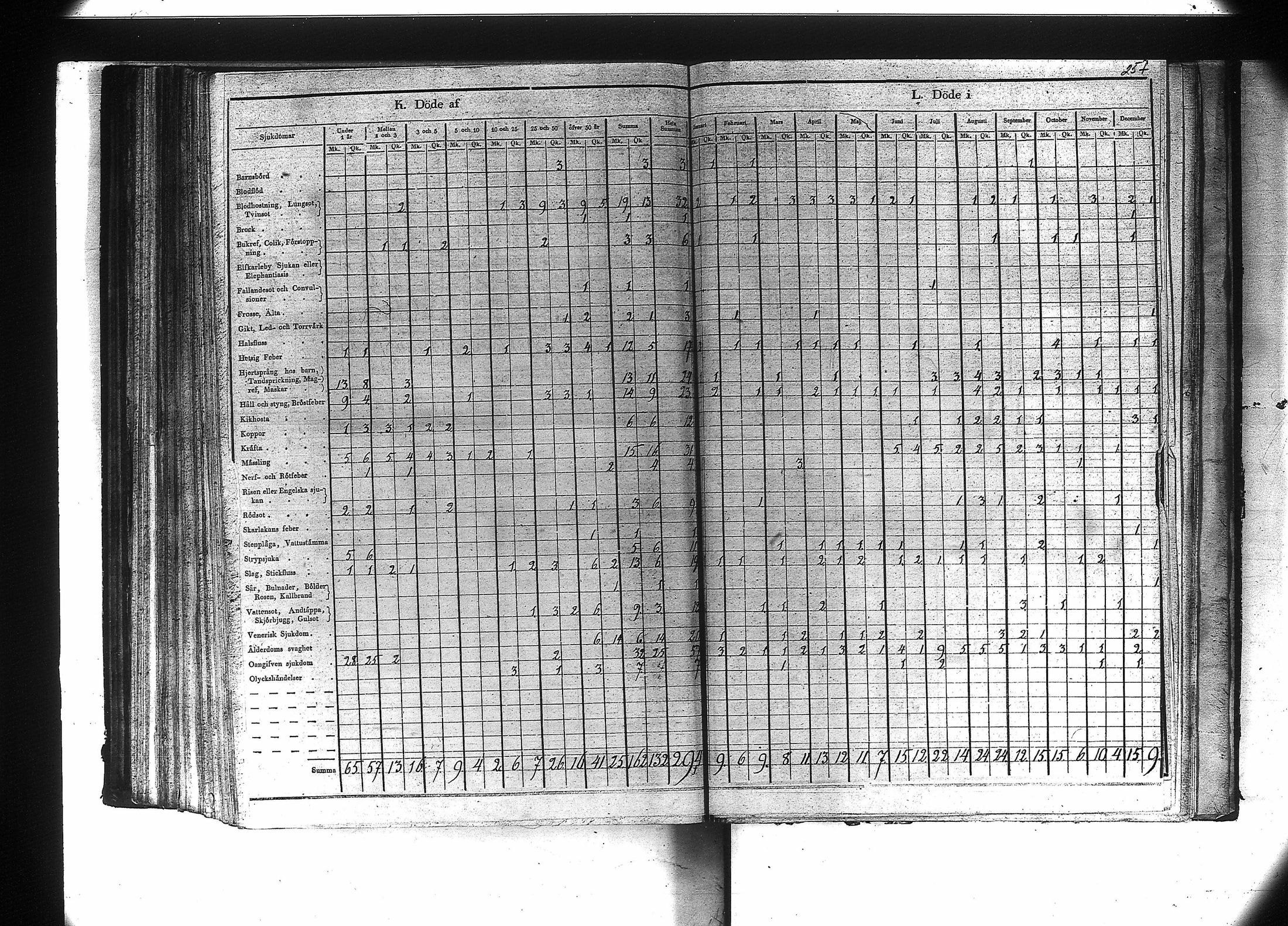 [ kuvat/259.jpg ]