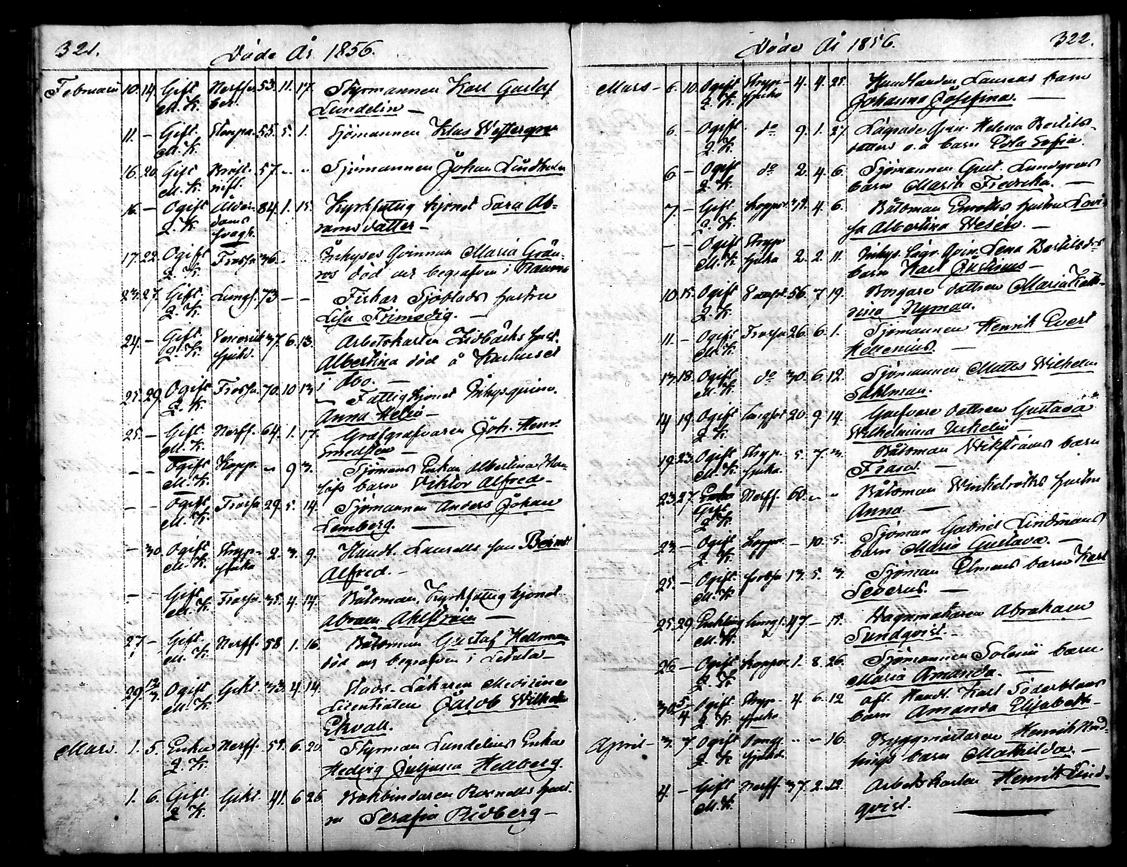 [ kuvat/170.jpg ]