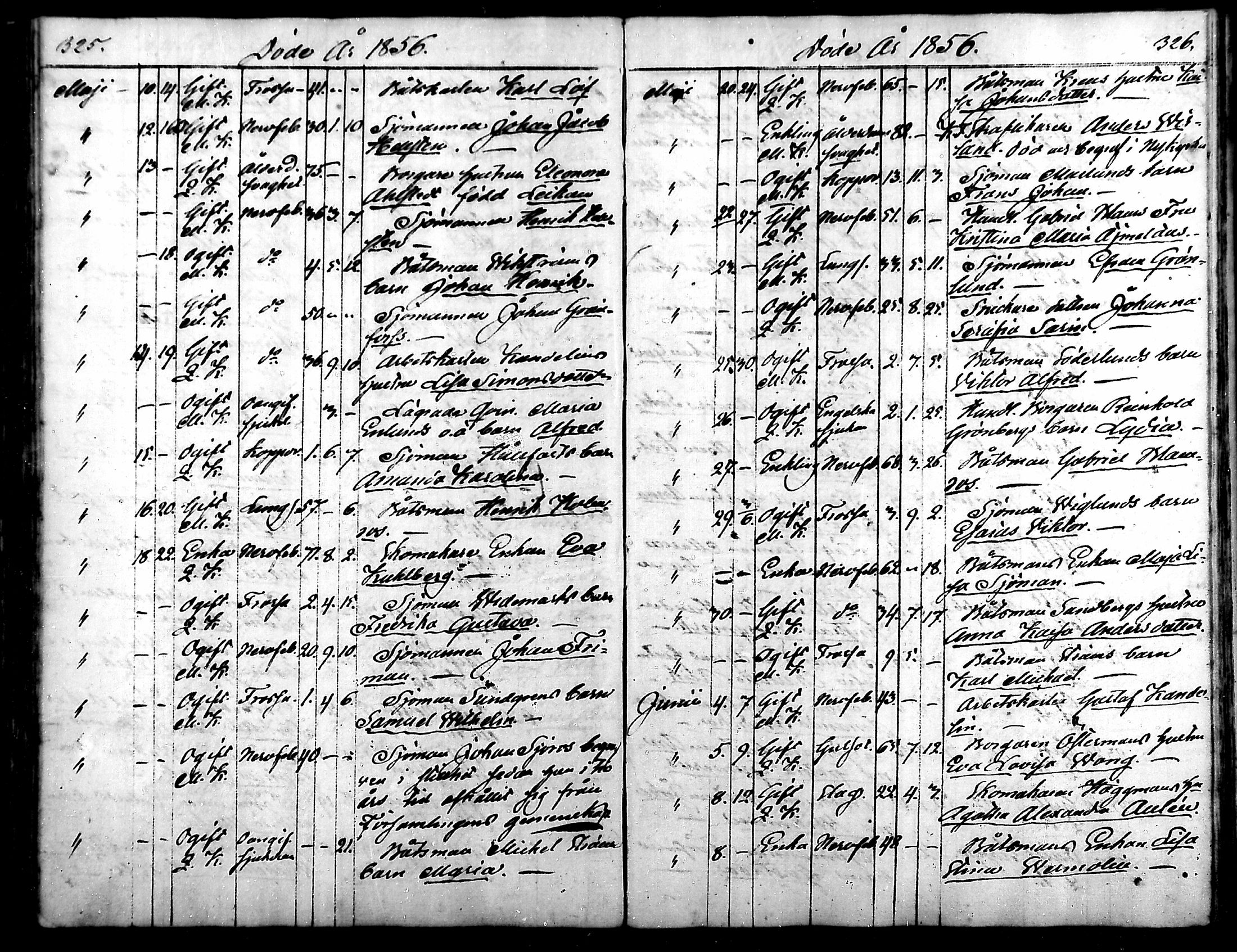 [ kuvat/172.jpg ]