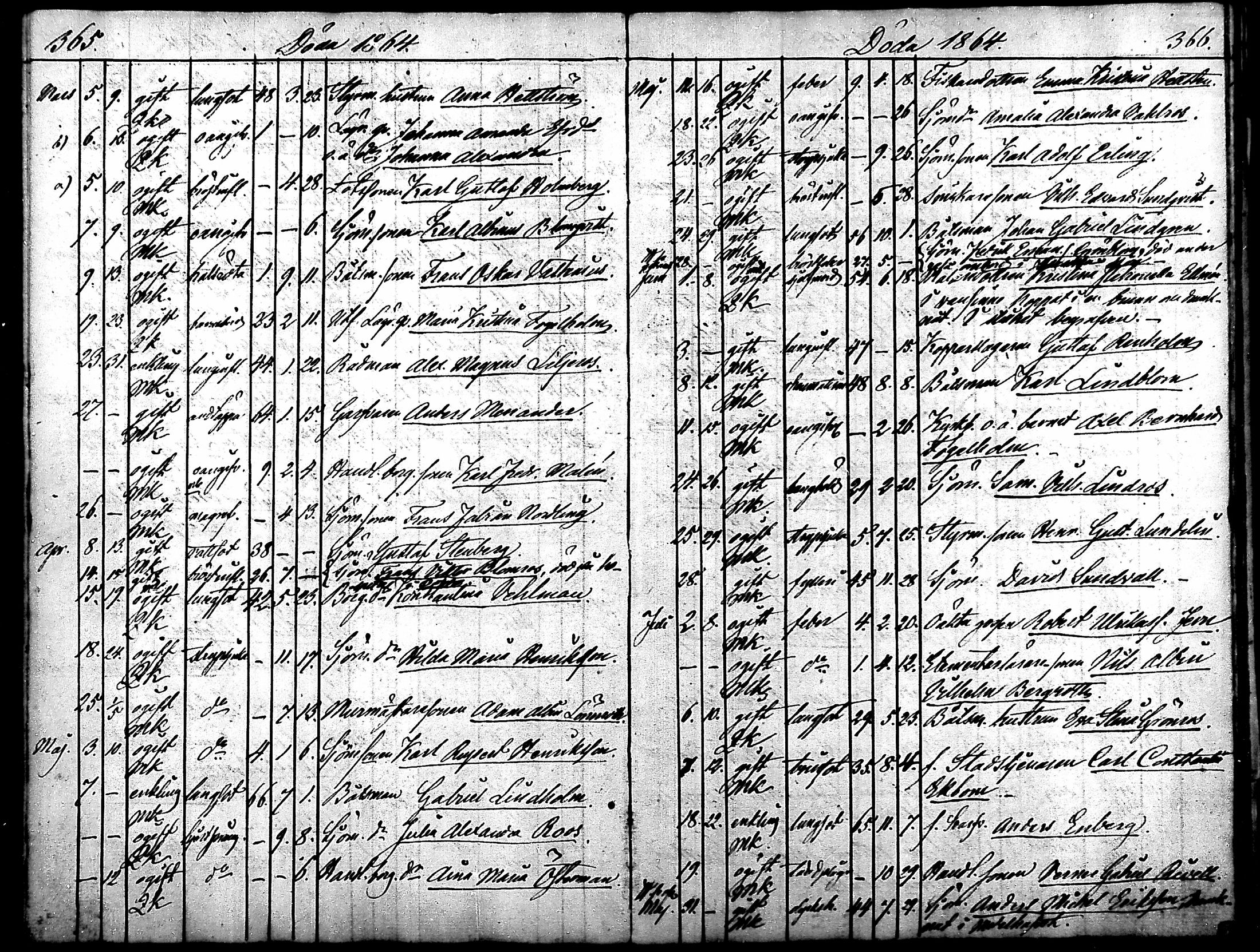 [ kuvat/194.jpg ]