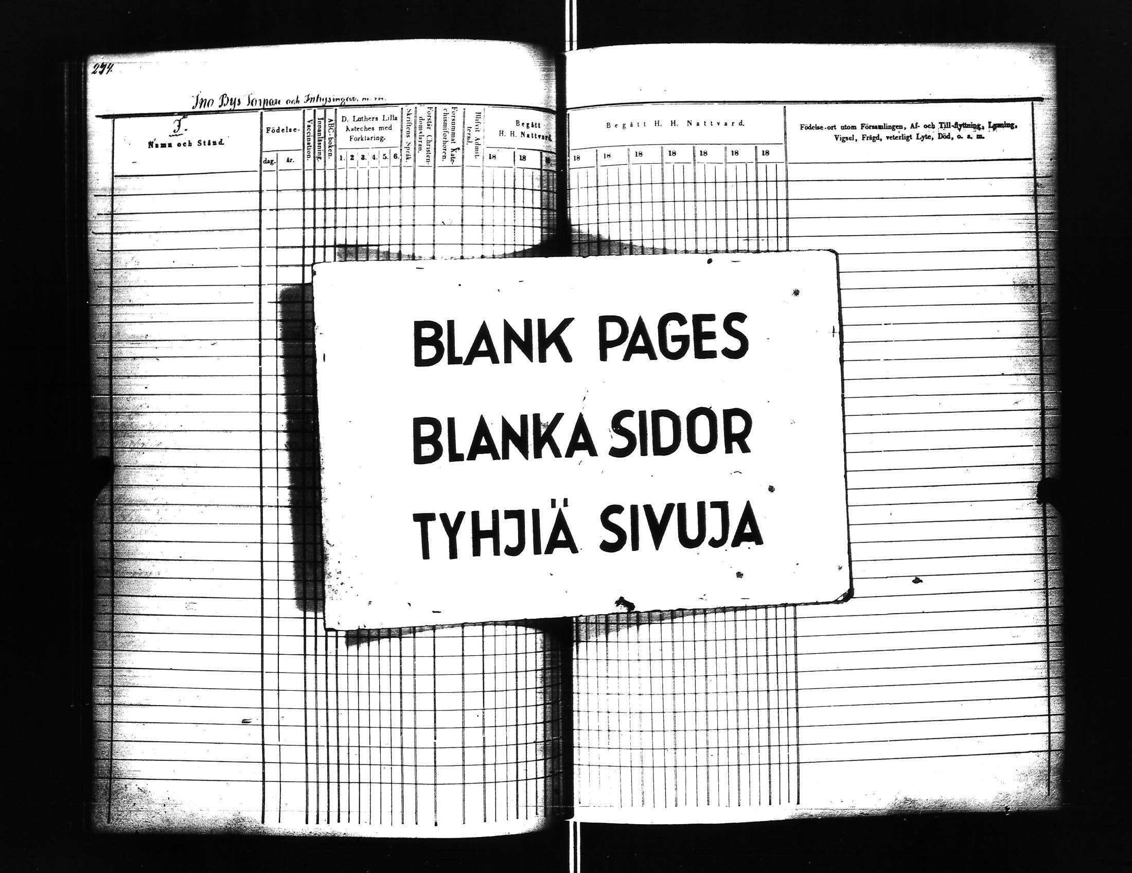 [ kuvat/247.jpg ]