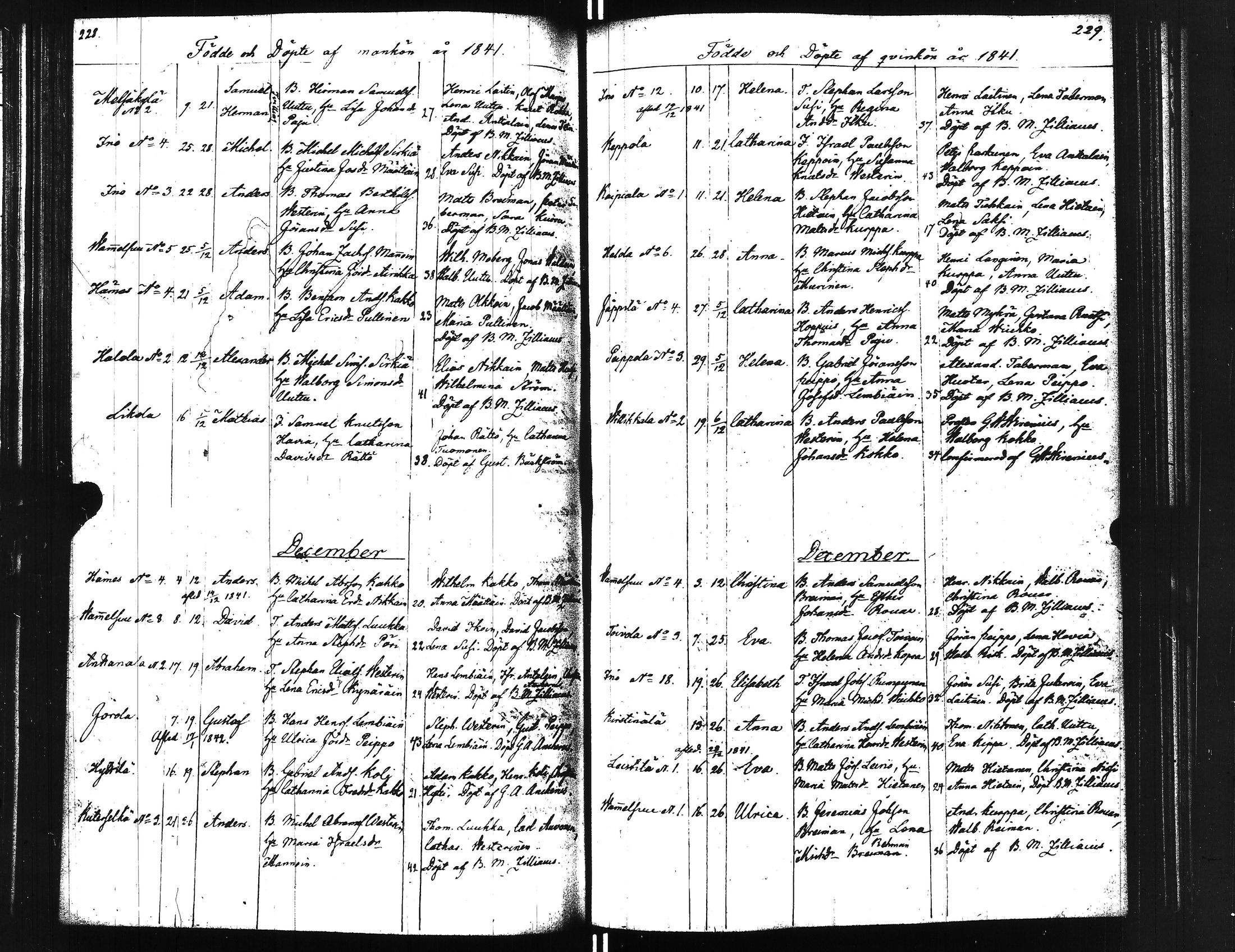 [ kuvat/117.jpg ]
