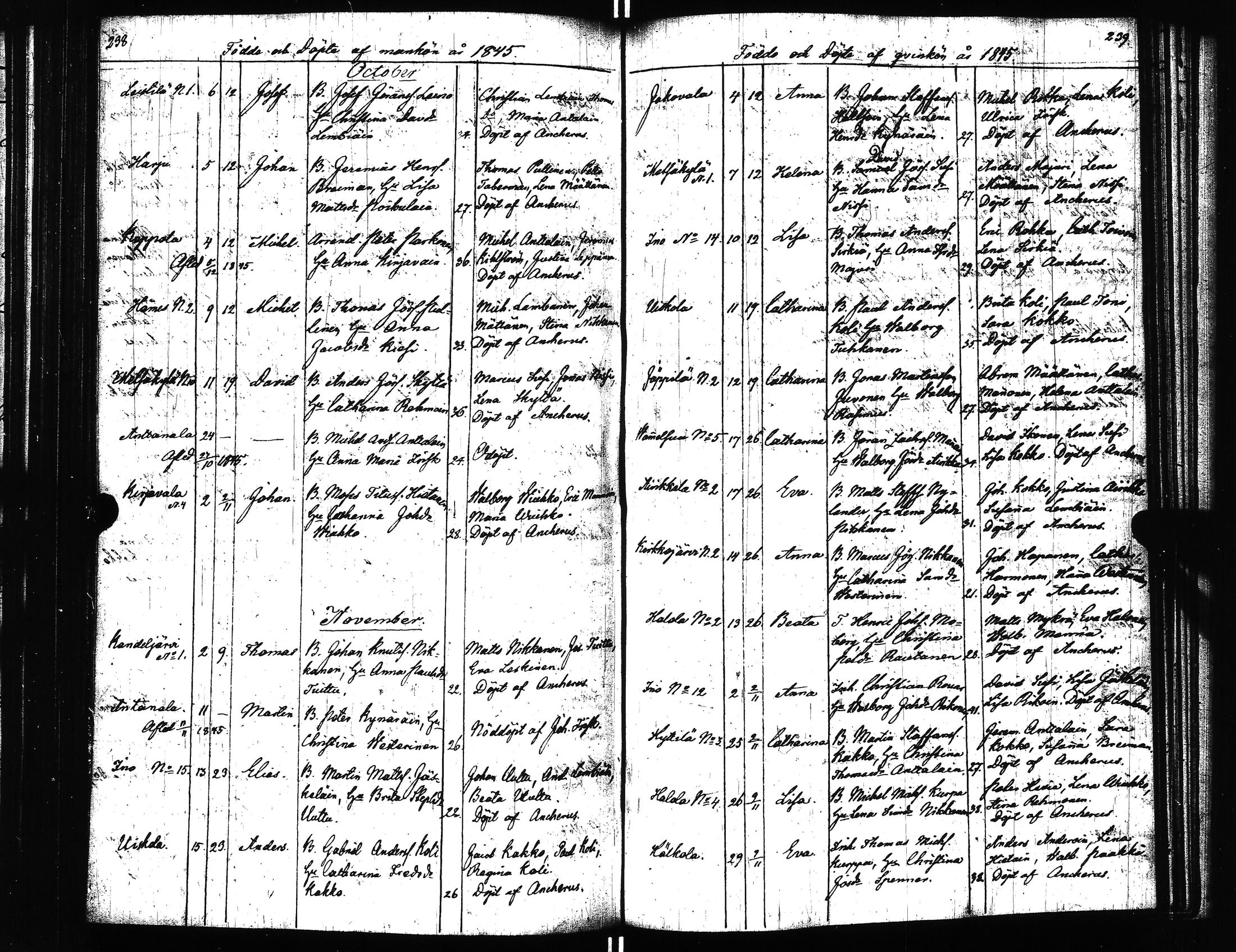 [ kuvat/178.jpg ]