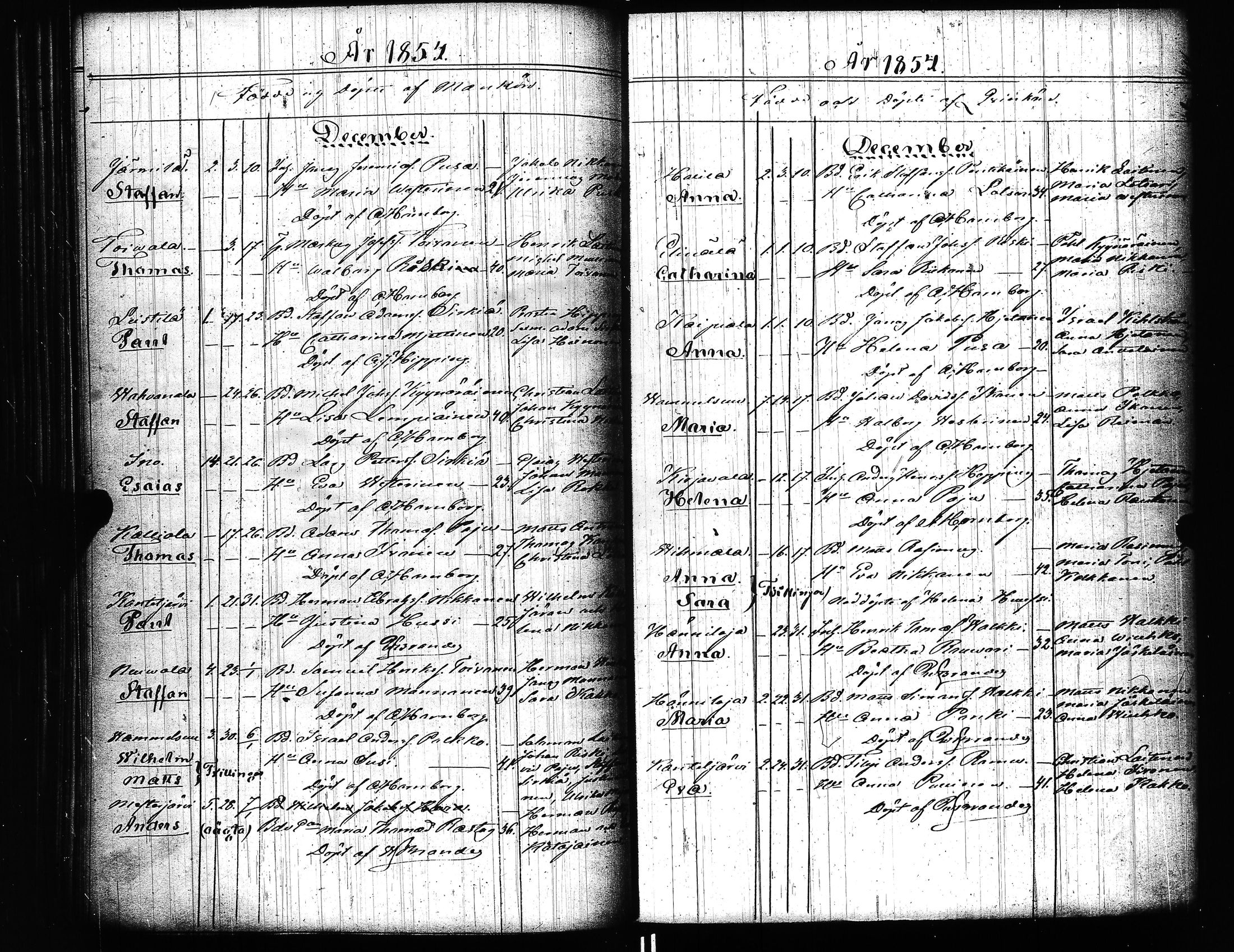 [ kuvat/146.jpg ]