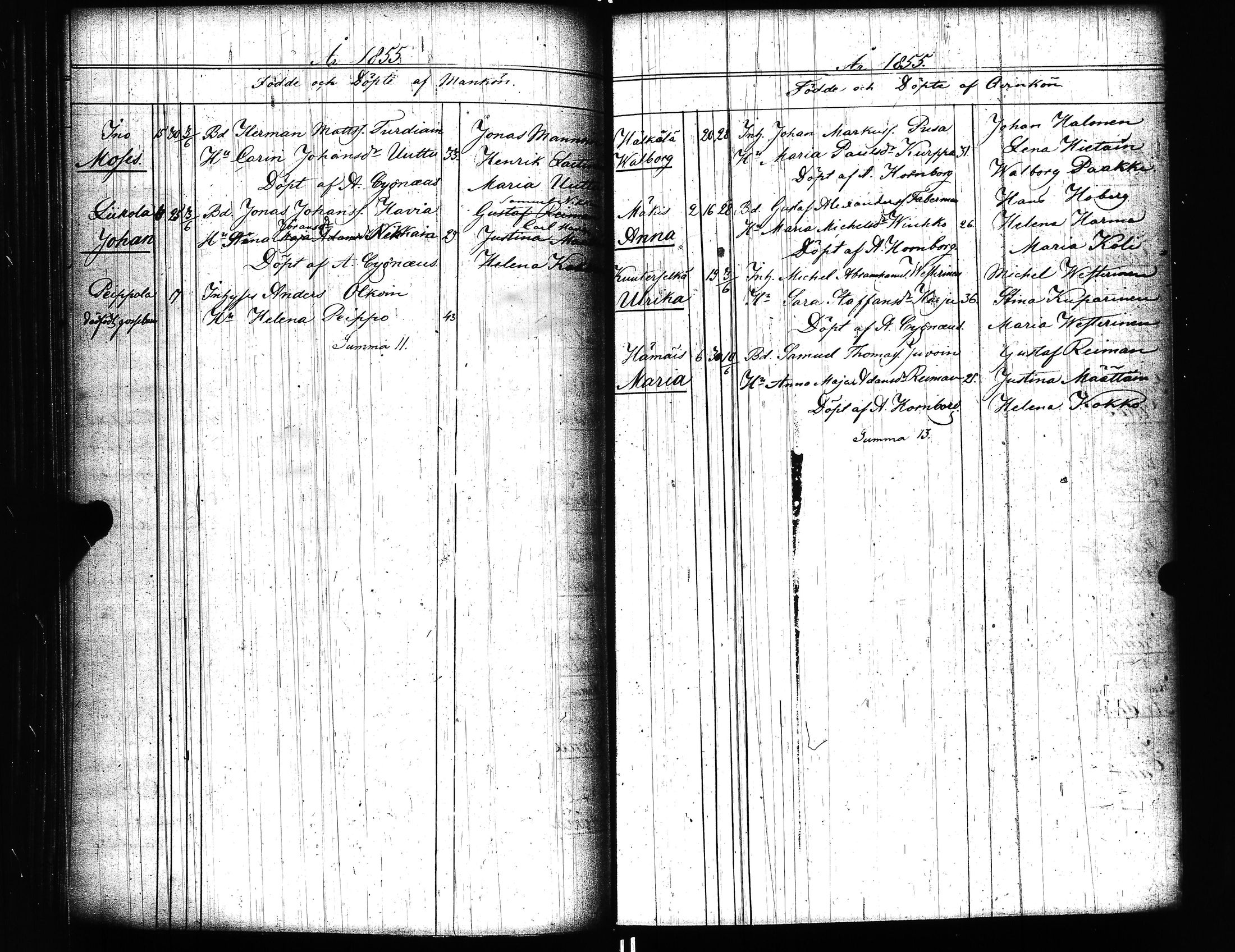 [ kuvat/158.jpg ]