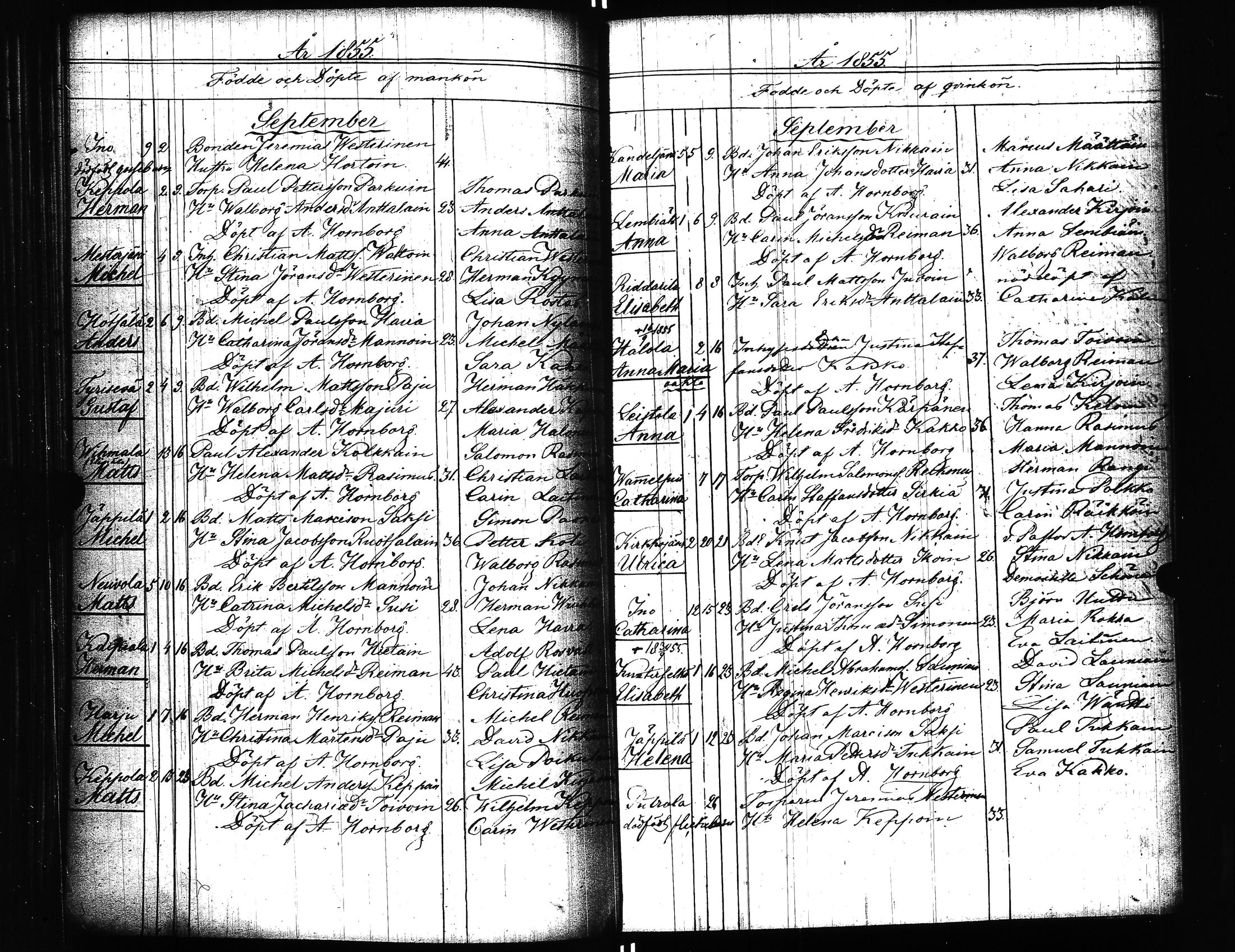 [ kuvat/165.jpg ]
