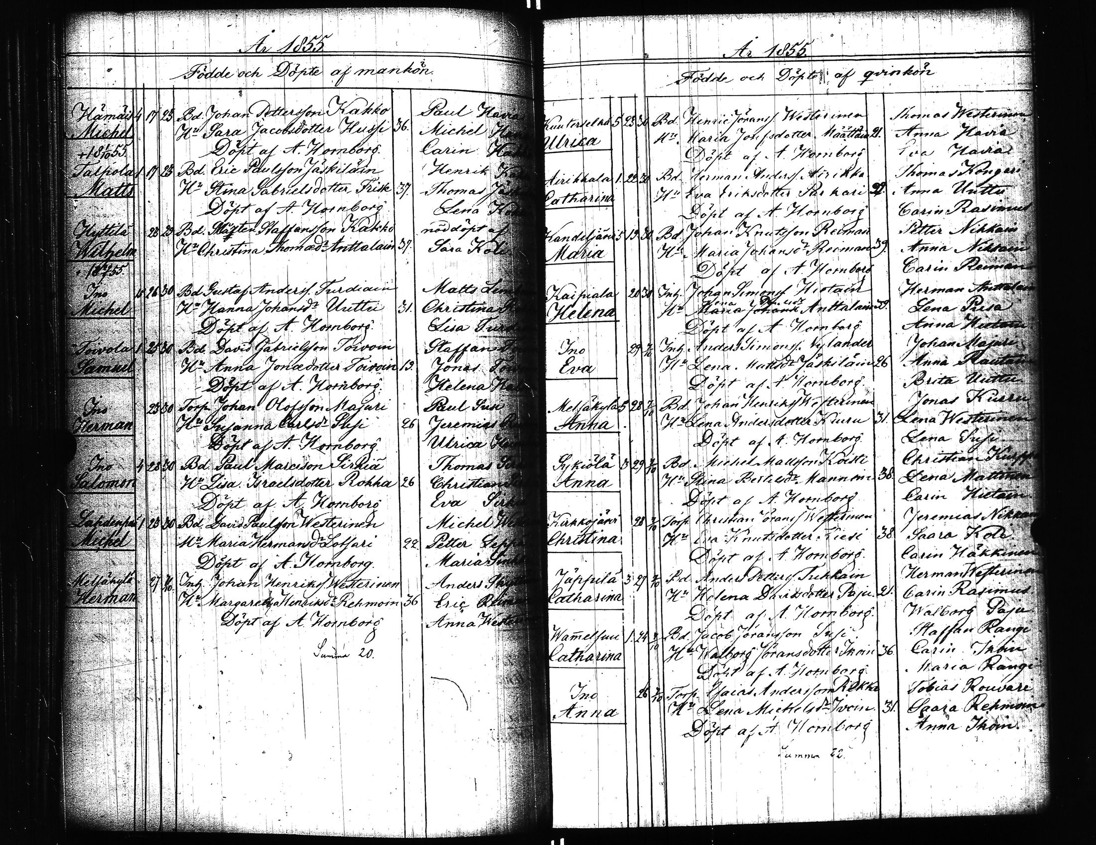 [ kuvat/166.jpg ]