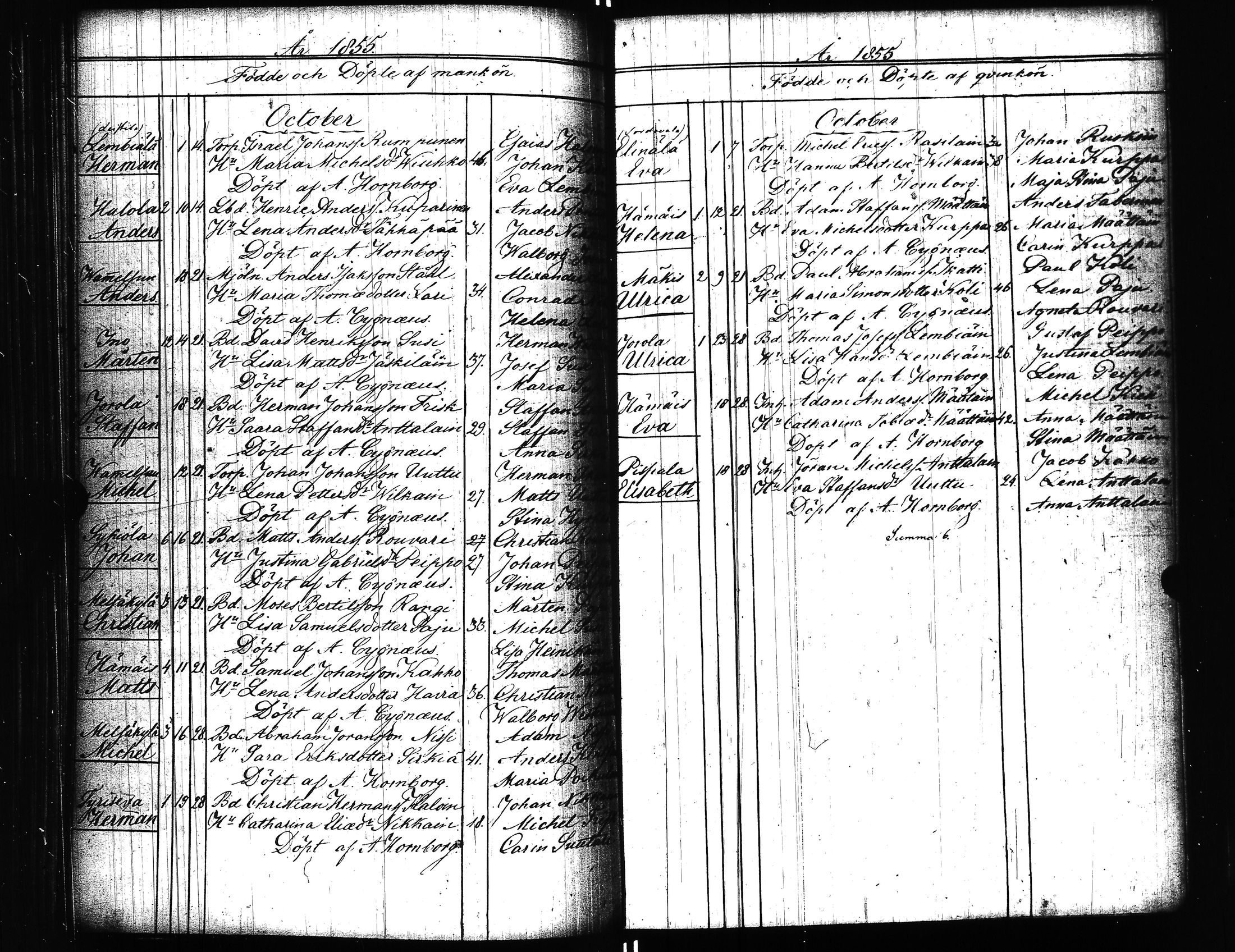 [ kuvat/167.jpg ]