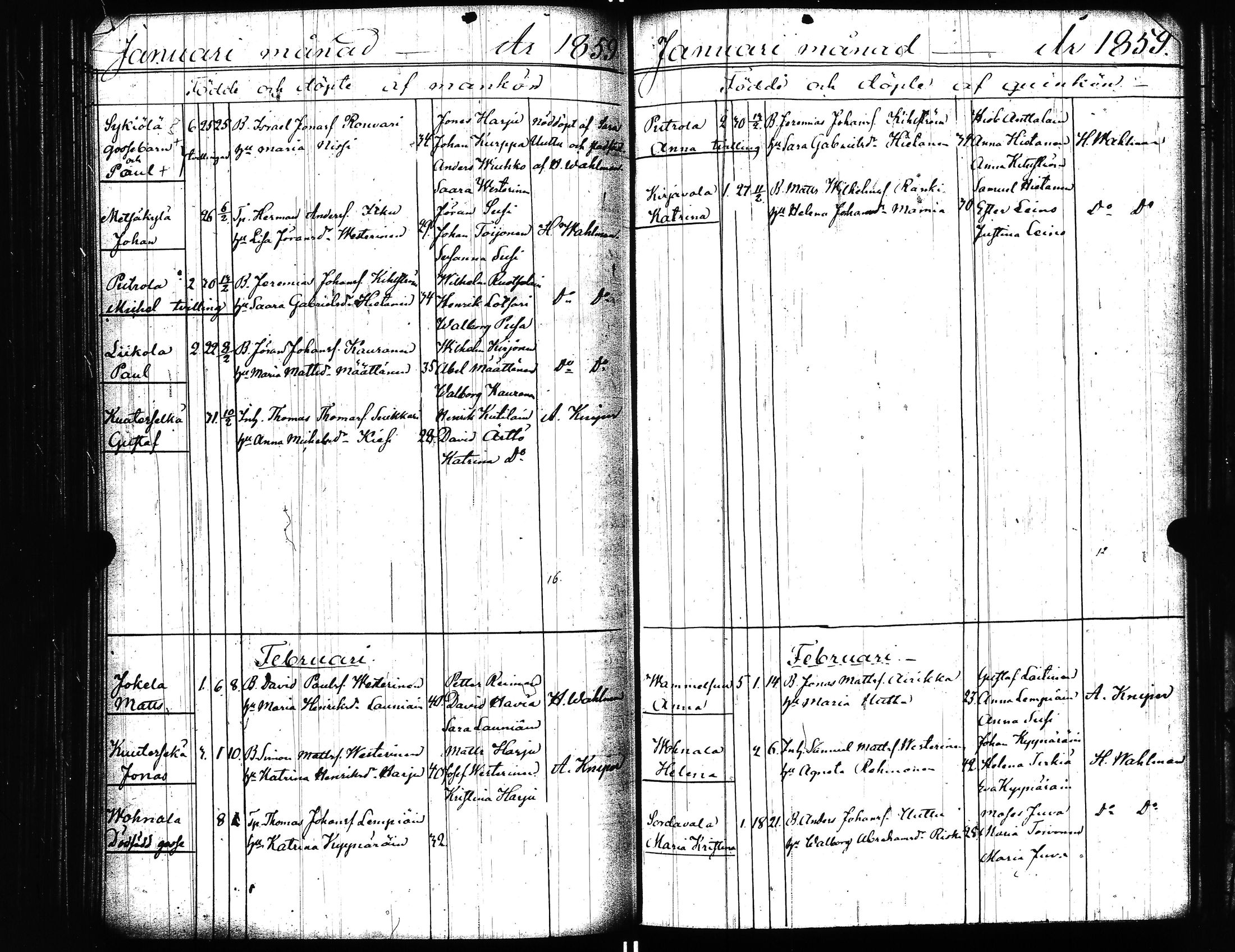 [ kuvat/229.jpg ]