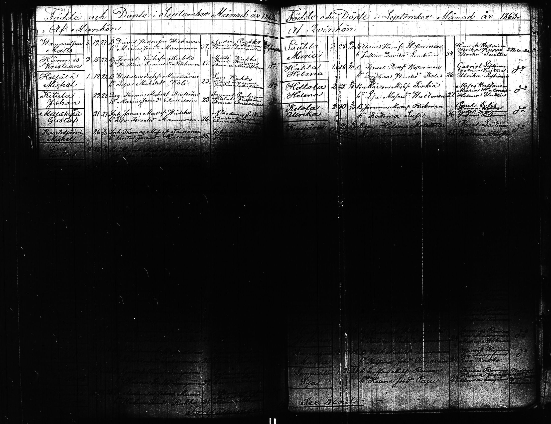 [ kuvat/307.jpg ]