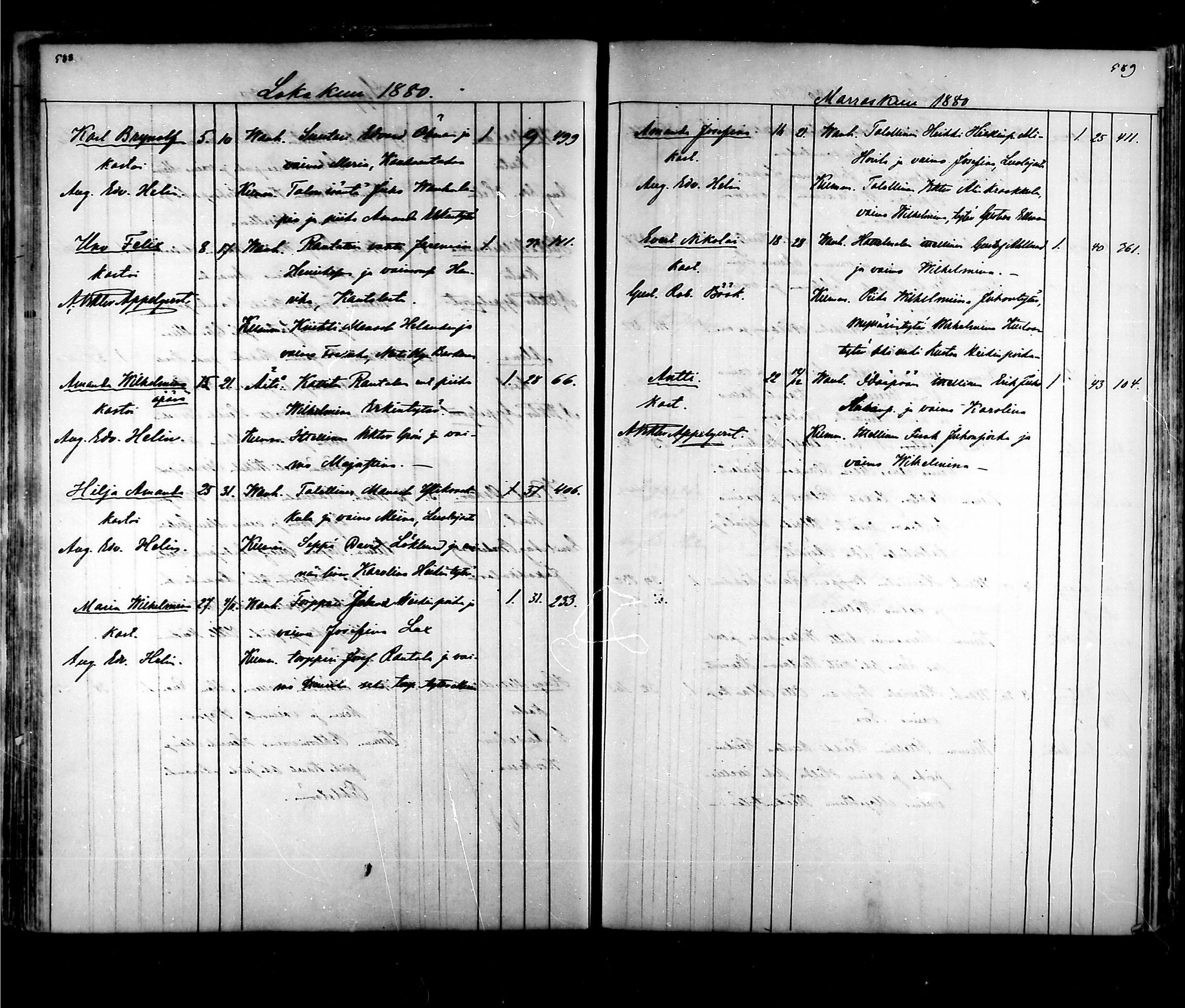 [ kuvat/295.jpg ]