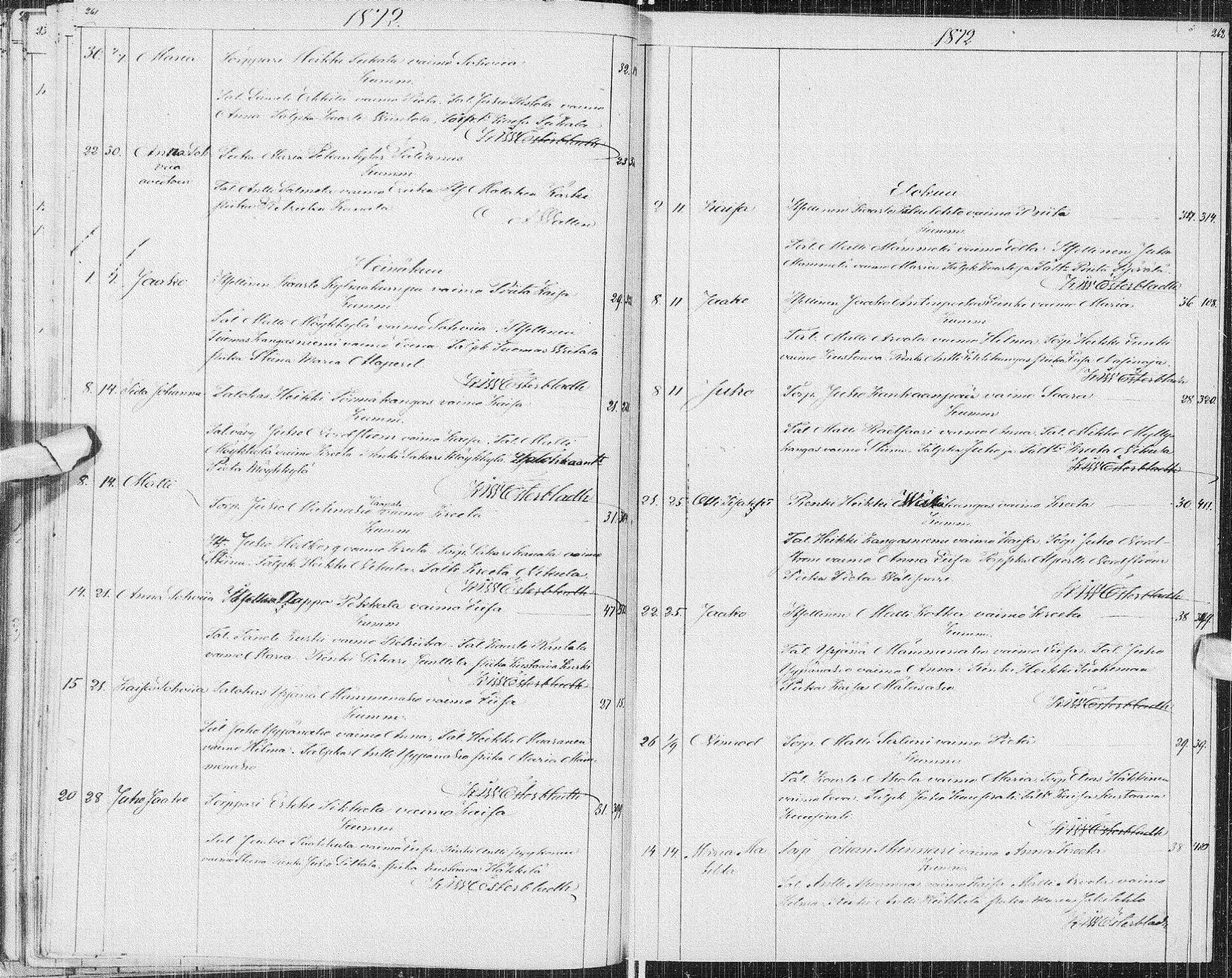 [ kuvat/132.jpg ]