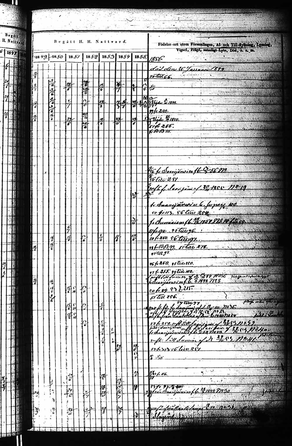 [ kuvat/203.jpg ]
