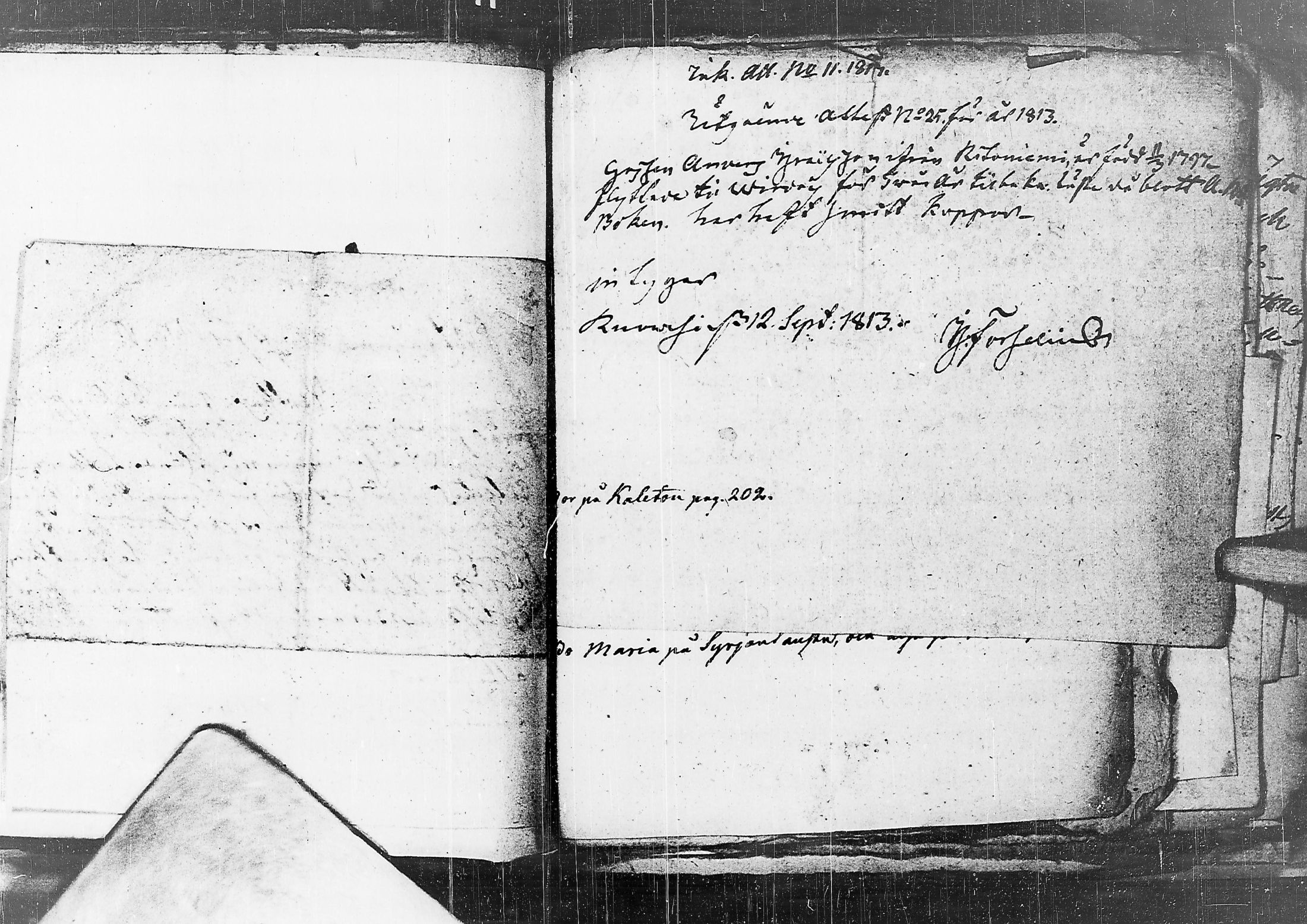 [ kuvat/113.jpg ]