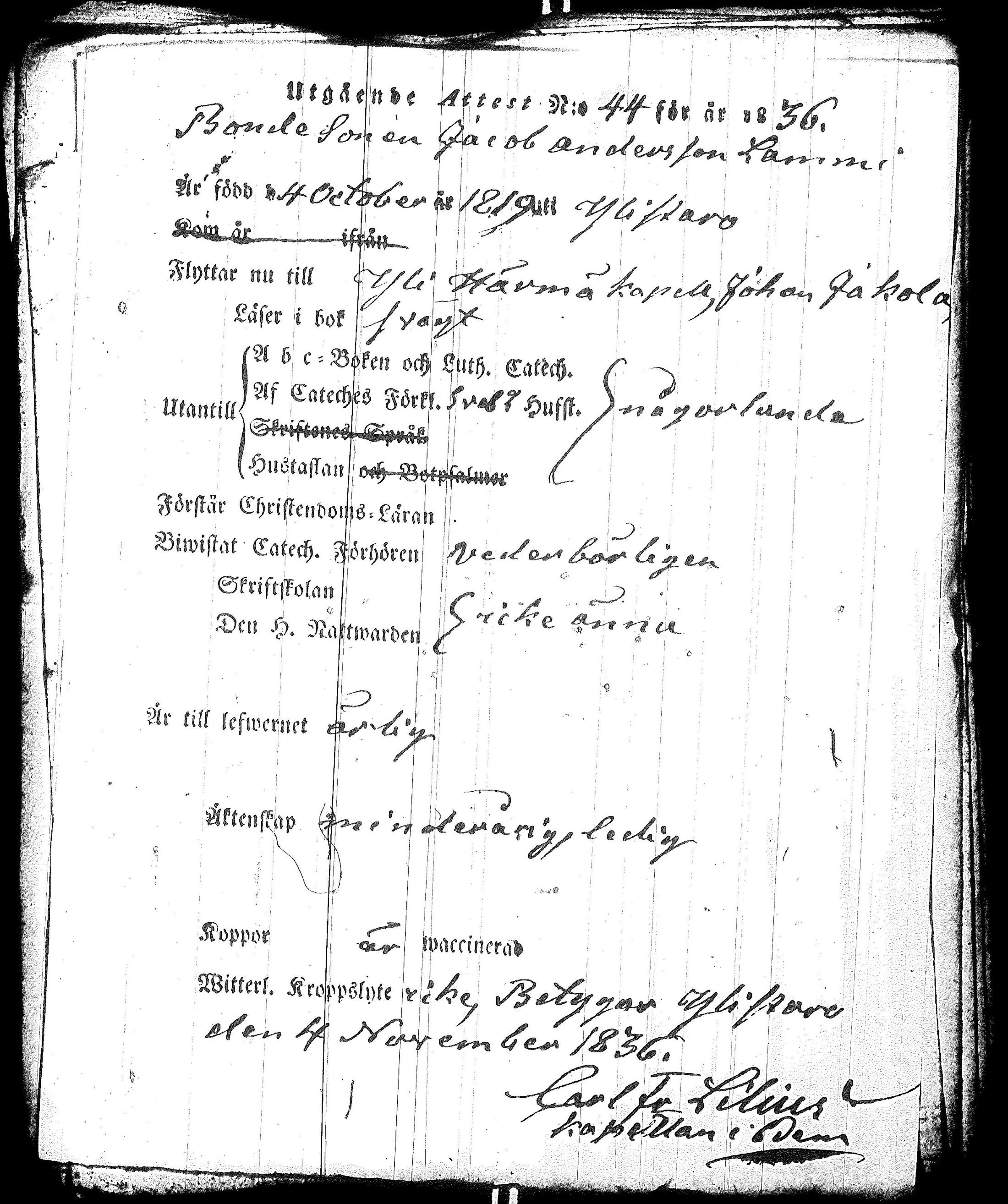 [ kuvat/178.jpg ]