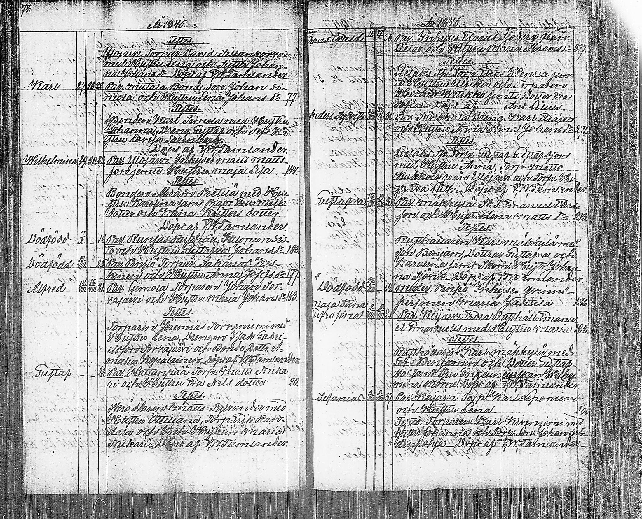 [ kuvat/41.jpg ]