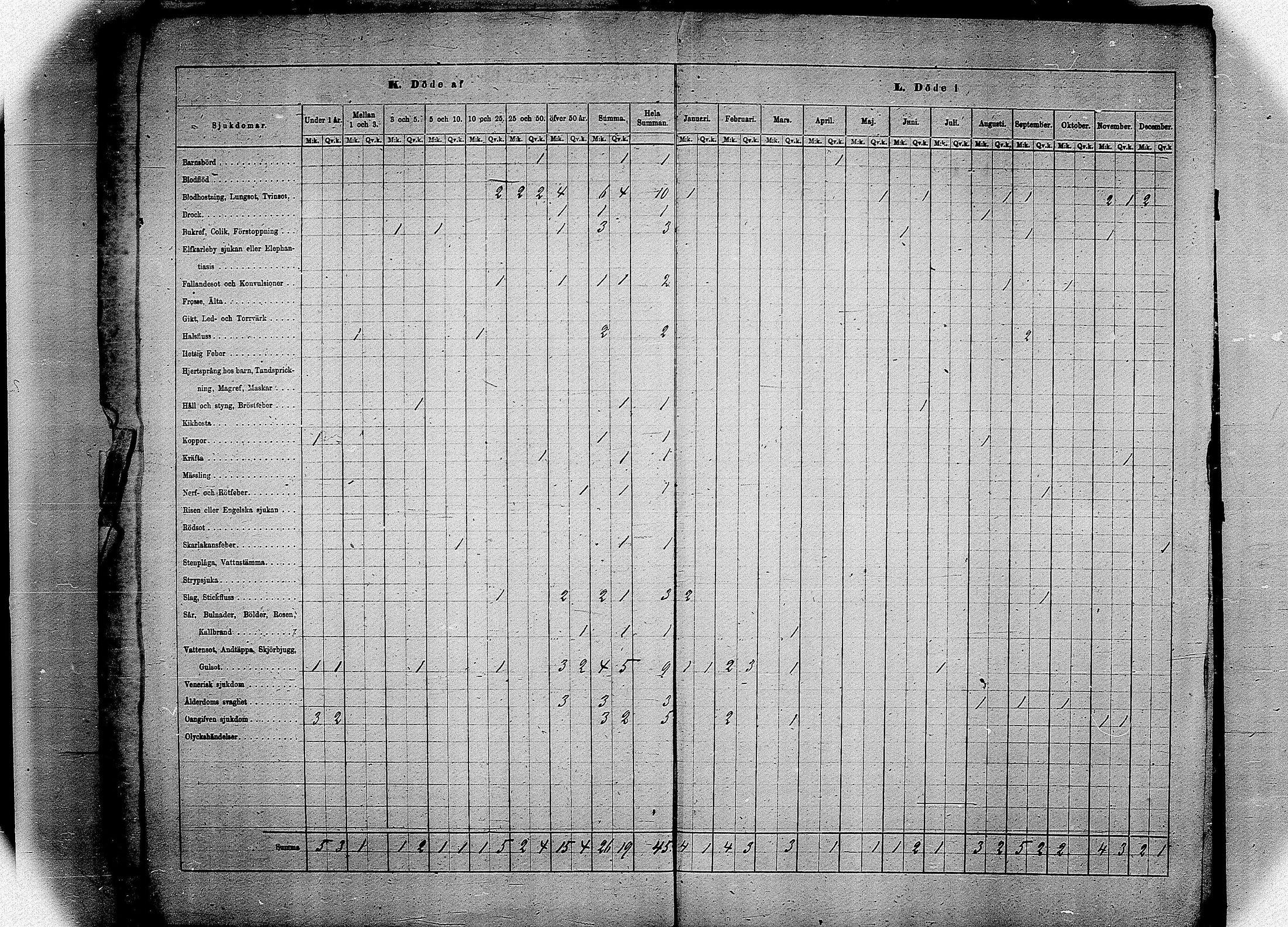 [ kuvat/175.jpg ]